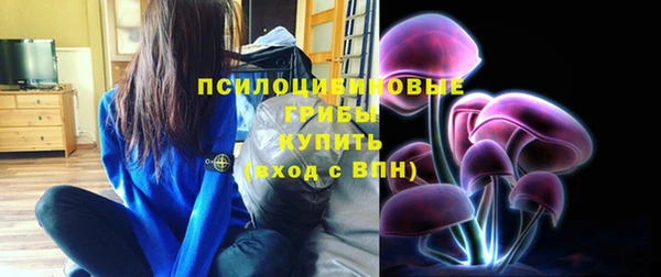 Альфа ПВП Бугульма
