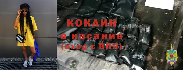 прущий лед Бородино