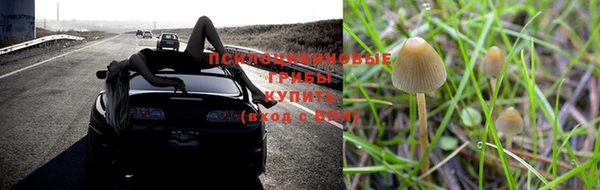 дмт Бронницы