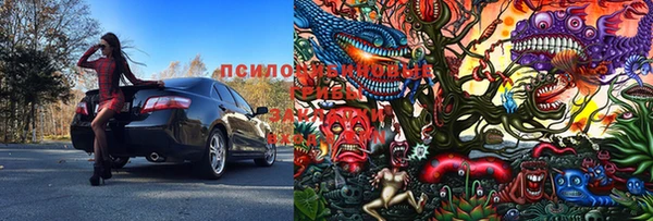 Альфа ПВП Бугульма