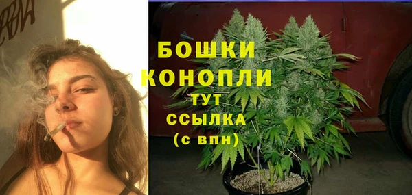 Альфа ПВП Бугульма