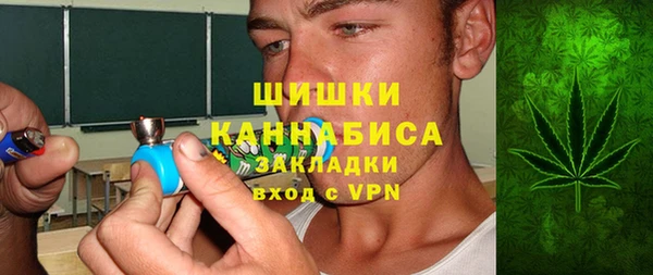 дмт Бронницы