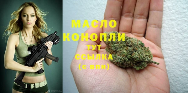 прущий лед Бородино