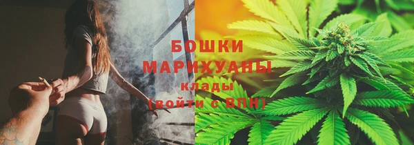 прущий лед Бородино