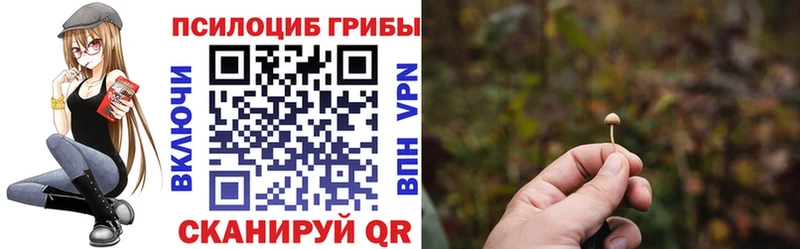 купить закладку  Голицыно  Галлюциногенные грибы прущие грибы 